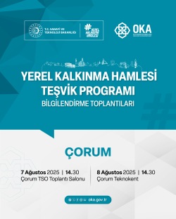 Yerel Kalkınma Hamlesi Teşvik Programı Bilgilendirme Toplantıları